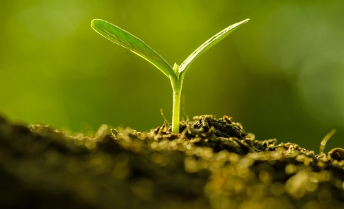 為避免誤導用戶，便攜式土壤水分速測儀使用需注意
