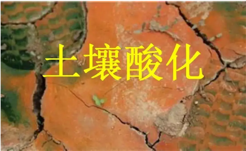 識(shí)別土壤“病”，土壤測(cè)試儀器是如何提高土壤免疫力的？