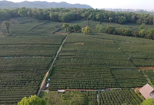 肥料不是越多越，利用測土儀提高化肥利用率
