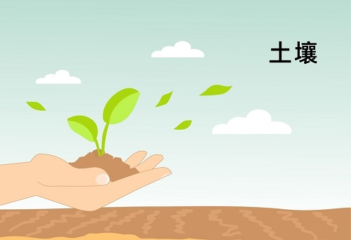 土壤墑情監(jiān)測(cè)系統(tǒng)在精細(xì)農(nóng)業(yè)發(fā)展中扮演著什么角色？