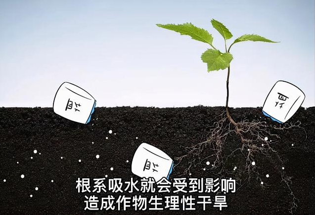 土壤EC值和pH值與作物生長的關系，利用土壤鹽分儀緩解土壤鹽漬化