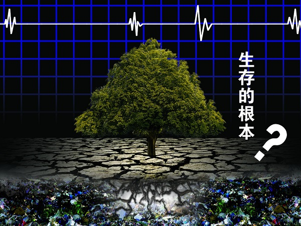 土壤重金屬嚴(yán)重超標(biāo)，土壤修復(fù)離不開土壤檢測(cè)儀